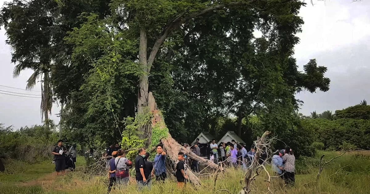 น้อยใจ ภรรยาหนีออกจากบ้าน ! หนุ่มใหญ่ผูกคอดับ ใต้ต้นมะขามยักษ์ หน้าศาลเจ้าพ่อ