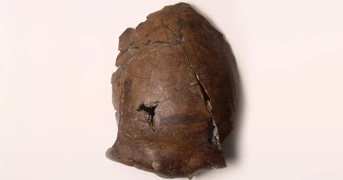 นักวิจัยเชื่อ นี่เป็นหัวกะโหลกเหยื่อสึนามิที่เก่าแก่ที่สุดในโลก กว่า 6,000 ปี