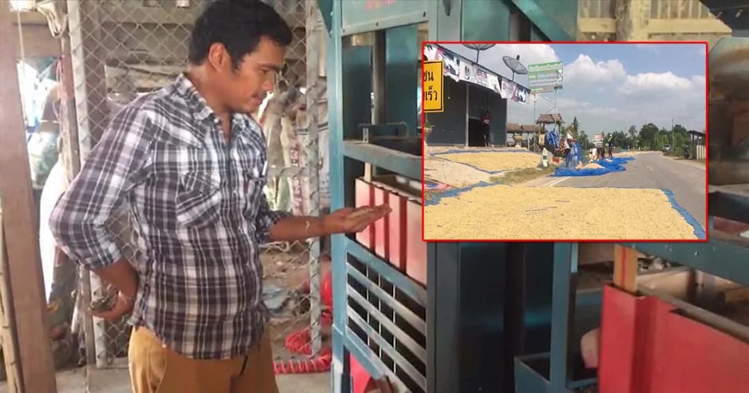 หนุ่มเมืองช้างพลิกวิกฤตราคาข้าวตกต่ำ ขายตรงผู้บริโภคไม่ง้อโรงสี