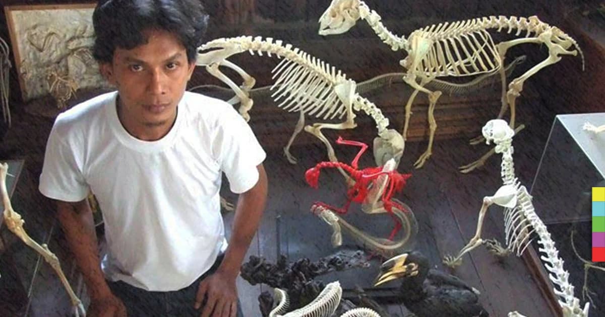 อาชีพแปลก และคงไม่มีใครอยากทำ “นักจัดโครงกระดูกสัตว์”