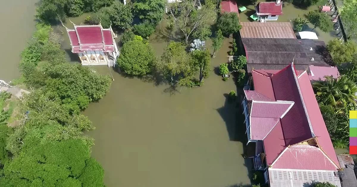 แม่น้ำยมล้นพิจิตร พระสงฆ์ต้องทำสะพานไม้ภายในวัด หนีน้ำท่วม !