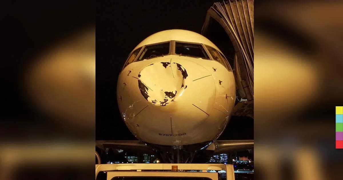 ต้องการคำตอบจากนาซา ! จมูกเครื่องบินยุบ เพราะบินชนนกจริงหรือ?