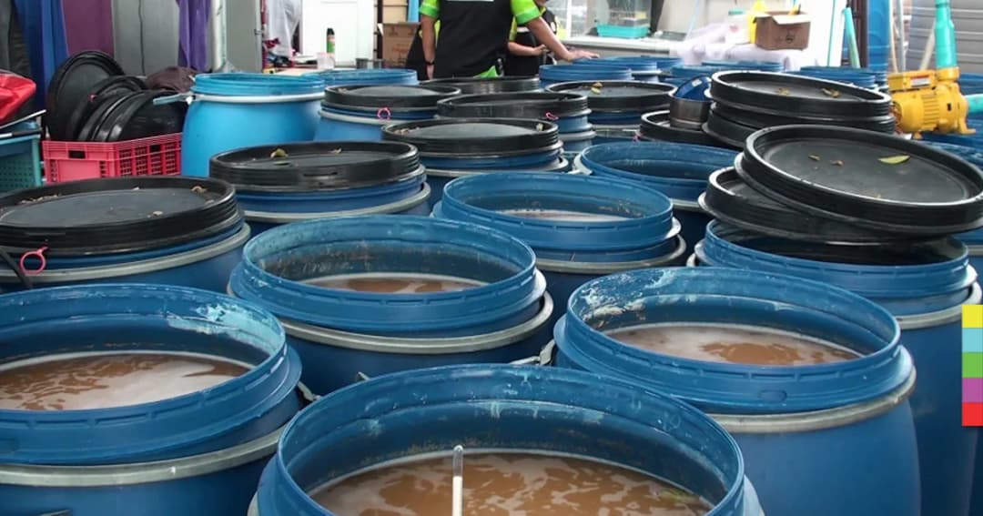 ทลายโรงต้มเหล้าเถื่อน หนุ่มใหญ่สารภาพ ‘ใจมันรักอาชีพนี้’