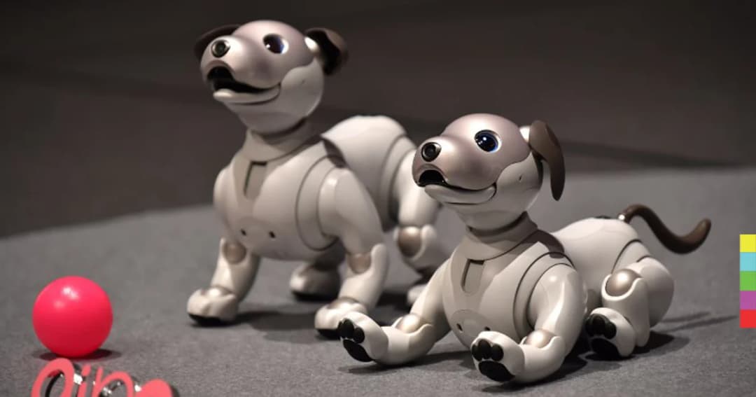 น้องหมา aibo กลับมาแล้ว หลังหายไปกว่าทศวรรษ แถมน่ารักกว่าเดิม