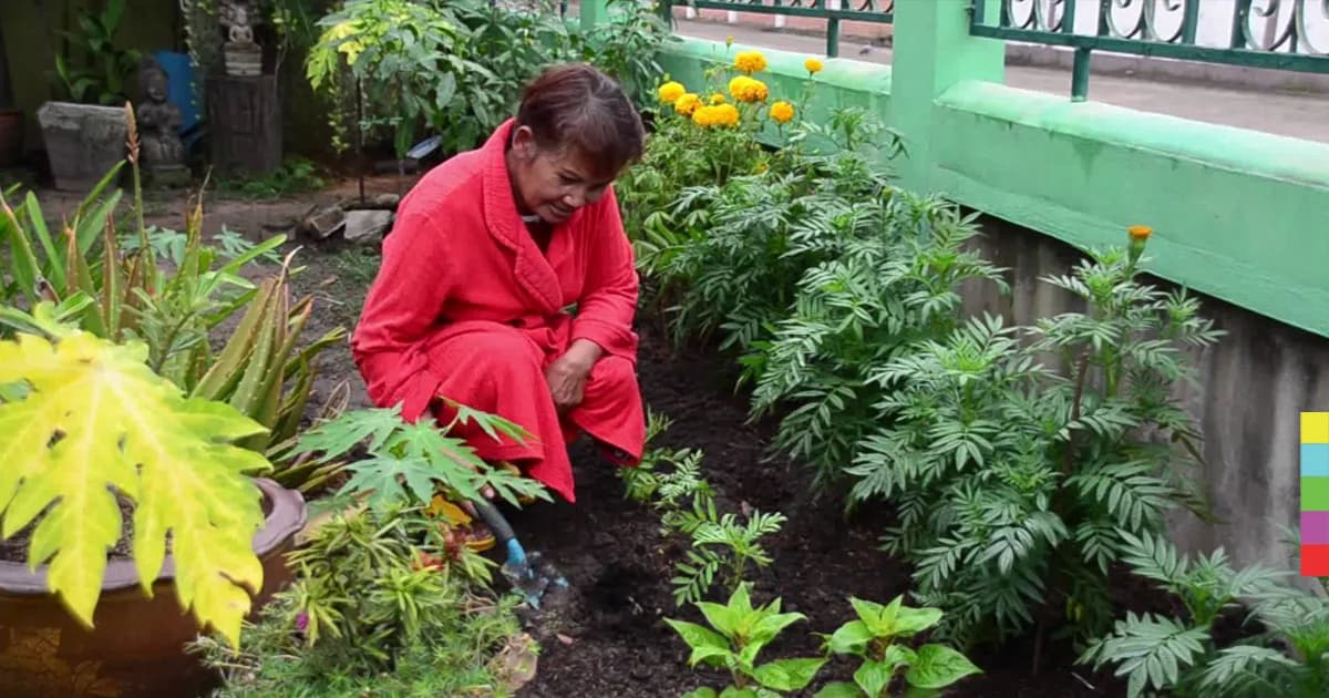 เปิดใจ ! คุณยายขี้เหงา เผยไม่เป็นคนแก่ไม่รู้หรอกว่ามันเหงา ยันไม่เคยมั่วใคร