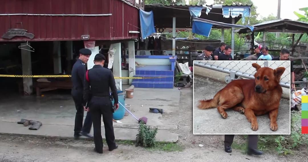 หนุ่มใหญ่ฉุน โดนญาติด่าเพราะขว้างหินไล่หมา ชักปืนยิงรัว 3 นัดใส่ญาติบาดเจ็บ