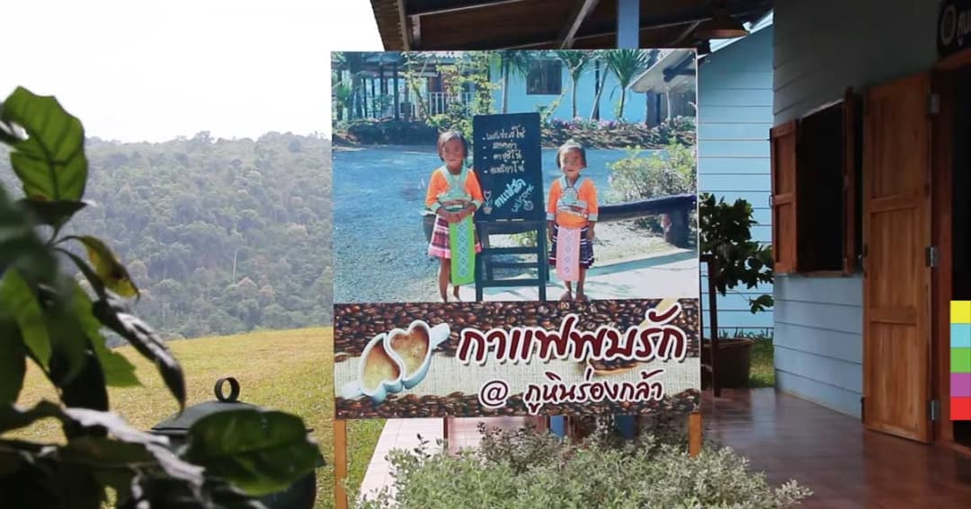 จิบกาแฟสด รับลมหนาว ณ ร้านกาแฟพบรัก@ภูหินร่องกล้า