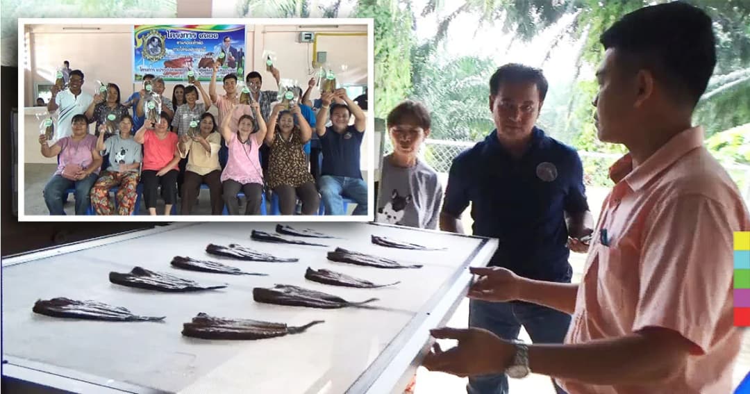 ชาวบ้านรวมกลุ่ม แปรรูปปลาแดดเดียว ด้วยตู้พลังงานแสงอาทิตย์ รายได้งาม