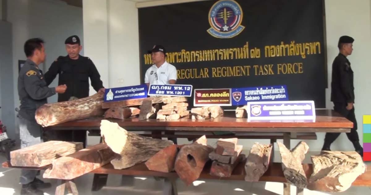 จนท. ร่วมจับลักลอบขนไม้พะยูงใส่รถเข็น ข้ามฝั่งไปกัมพูชา