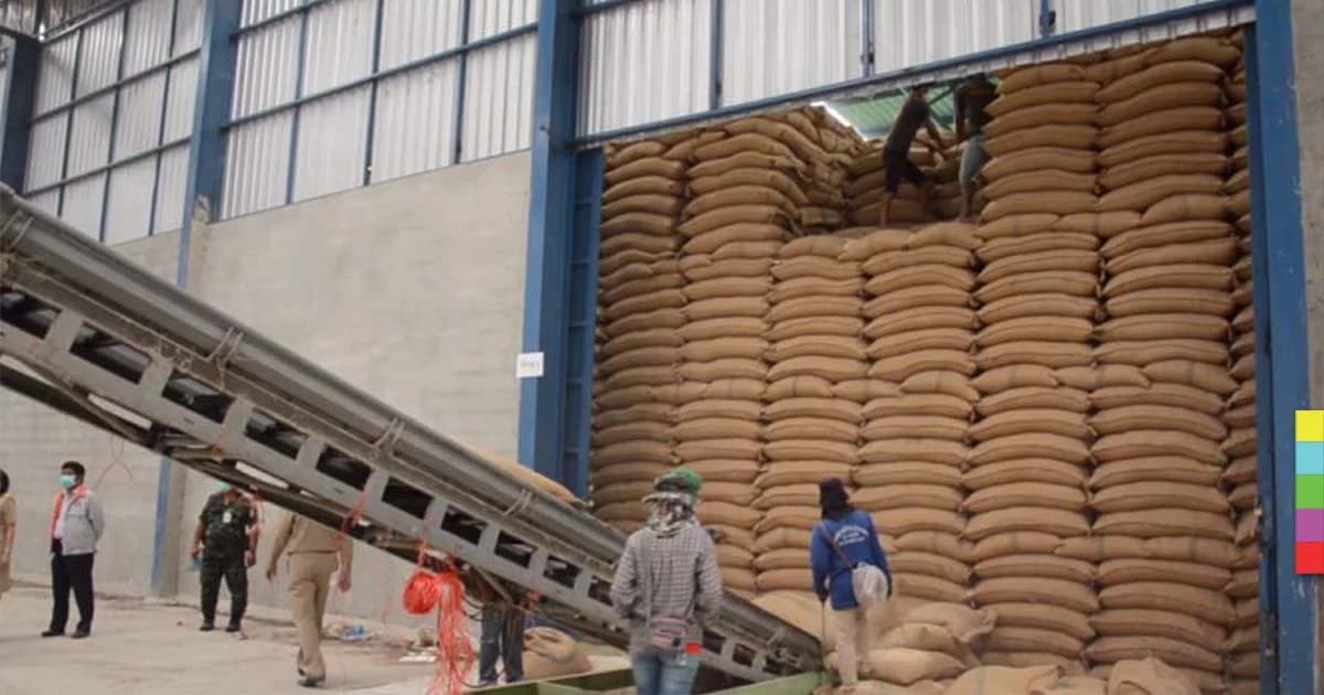 จนท.คุมเข้มขนย้ายข้าวในสต๊อกของรัฐบาล แปรรูปอุตสาหกรรมอาหารสัตว์