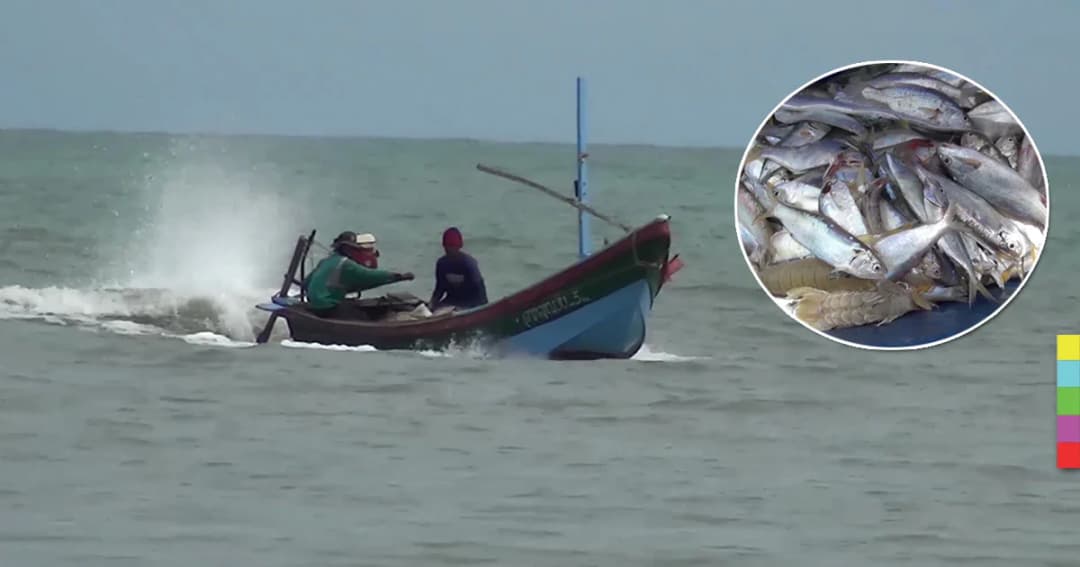 คลื่นลมสงบแล้ว ! ชาวประมงเร่งออกเรือหาปลา ก่อนมรสุมเข้าอีกรอบ