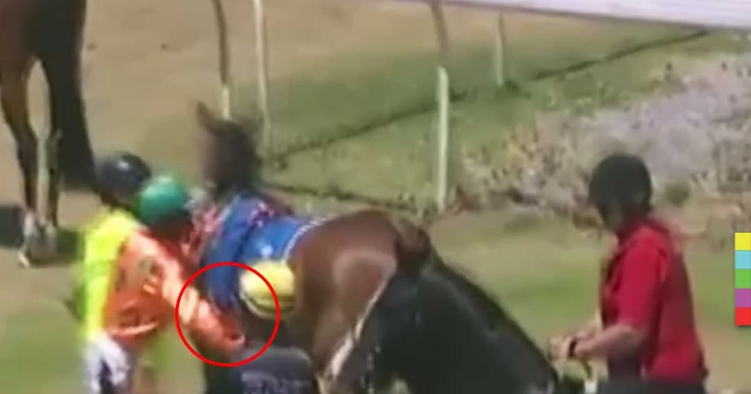 สั่งลงโทษจ๊อกกี้หนุ่ม ระบายอารมณ์ชกท้องม้าระหว่างแข่งขัน