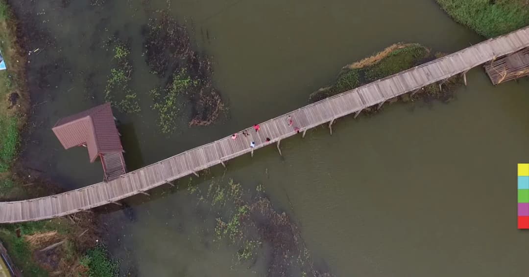 พาชม ‘สะพานไม้ 3 พันปี’ แหล่งเที่ยวแห่งใหม่เมืองโคราช