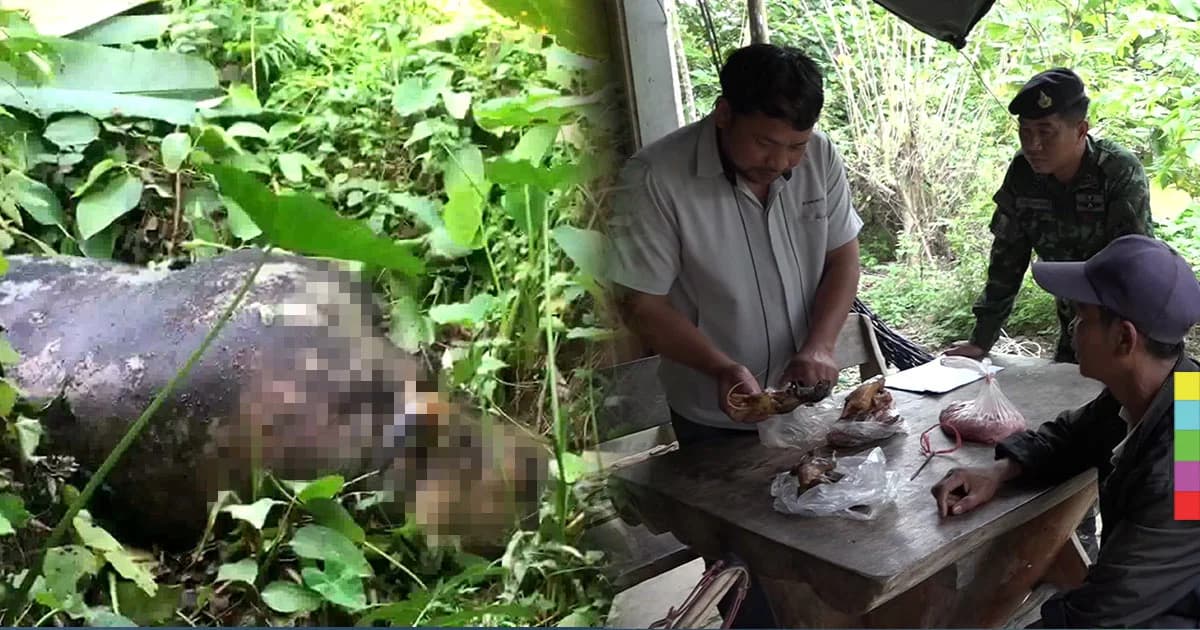 จนท.บุกตรวจบ้านต้องสงสัย เผยขรก.กระทรวงฯ ดังมีเอี่ยว ‘ฆ่ากระทิง’