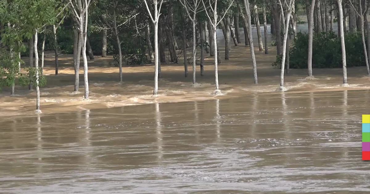 เตือนภัย ! ริมคลองอู่ตะเภาน้ำล้นตลิ่ง ปชช.เตรียมรับมือ