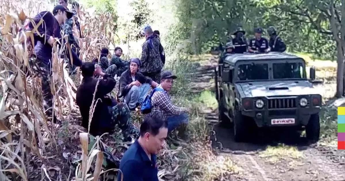 จนท.บุกเผาทำลายไร่กัญชากลางหุบเขากระทิง จ.เพชรบูรณ์