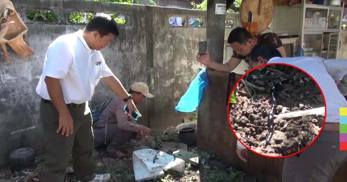 ชาวบ้านผงะ ! พบแหล่งอาศัย “หนอนนิวกินี” ในกองร้อย อส.อำเภอกระนวน