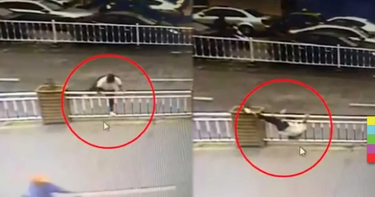 อาหมวยพลาด ! ปีนรั้วเกาะกลางถนน เสียหลักตีลังกาจนหัวติด