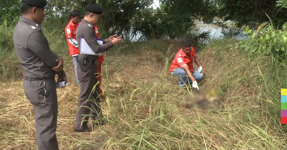 พบโครงกระดูกกลางทุ่งนา ! จนท.เร่งตรวจสอบ