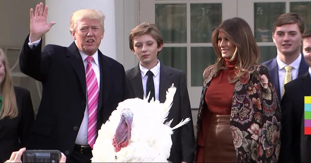 ทรัมป์อภัยโทษไก่งวง ไม่ต้องกลายเป็นอาหารในวันขอบคุณพระเจ้า