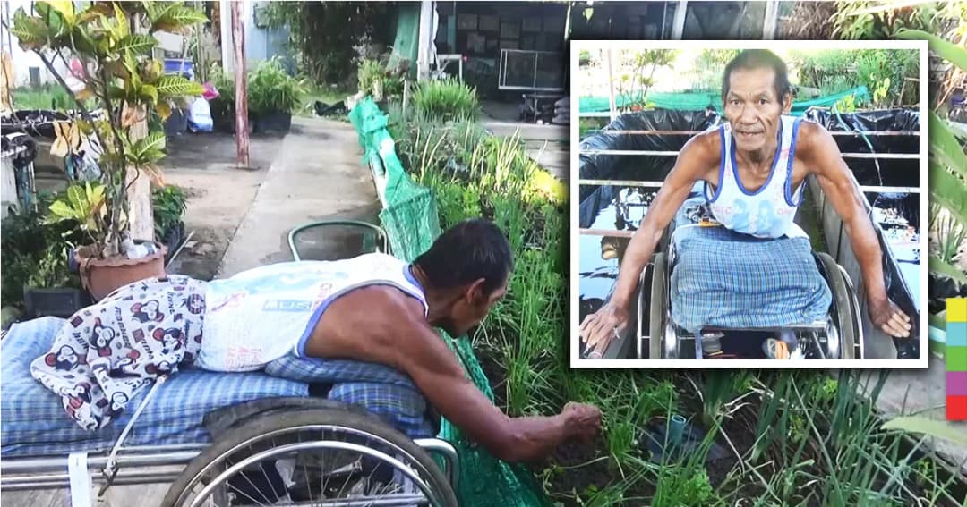 ลุงเบี้ยว สู้ชีวิต ! พิการขาทั้ง 2 ข้าง นอบนเตียงติดล้อ ทำงานสารพัดมาเกือบ 20 ปี