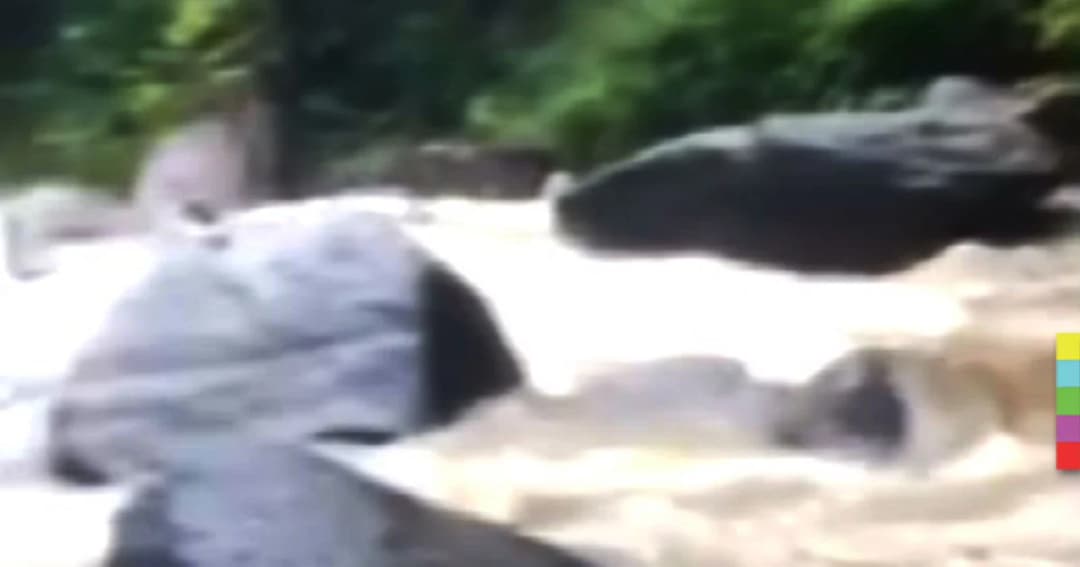 นครศรีธรรมราช น้ำป่าทะลัก หลังฝนถล่ม ชาวบ้านเร่งขนของขึ้นที่สูง