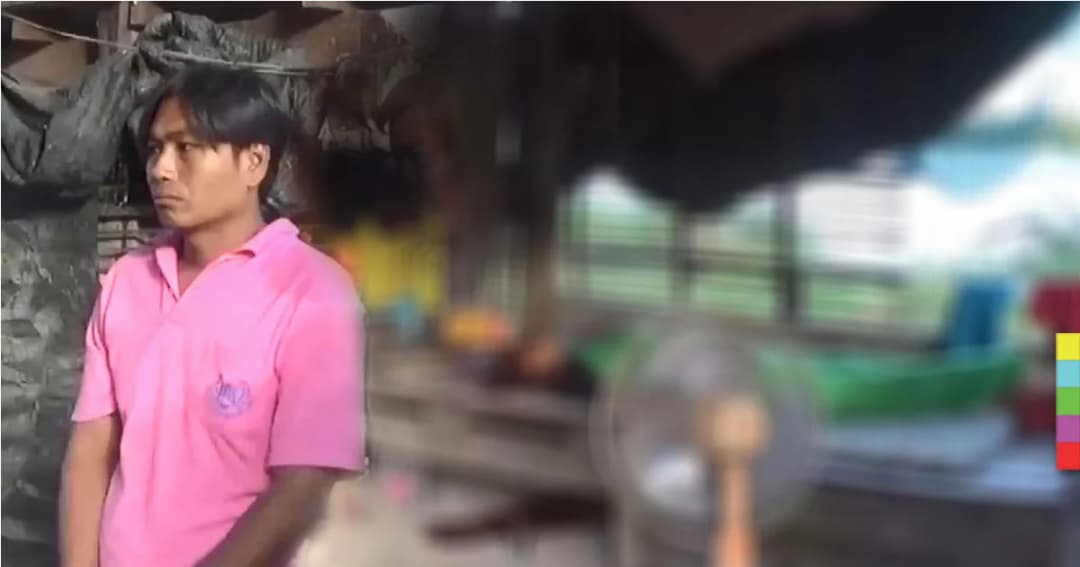 ลูกเจ้าของฟาร์มเป็ด เสพยาบ้าเเล้วคลั่ง ใช้ท่อนเหล็ก กระหน่ำตีคนงานดับ