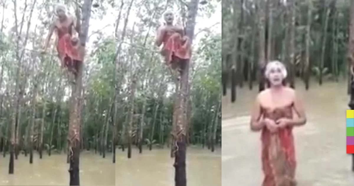 ฮาแก้เครียด ! สาวประเภทสองรายงานข่าวบนต้นยาง หลังราคายางพาราตกต่ำและน้ำท่วม