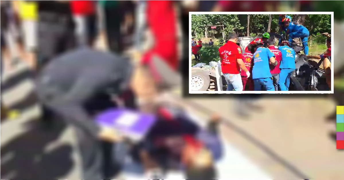 รถกระบะบรรทุกน้ำแข็ง ยางระเบิด เสียหลักพุ่งชนต้นไม้ ดับคาที่ 3 ศพ