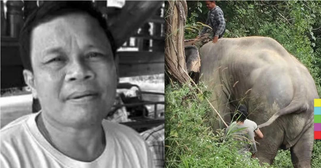 คืบหน้า แห่ไว้อาลัย ‘ควาญช้างระดับตำนาน’ ถูกช้างตกมันทำร้ายดับ ที่สวนสัตว์เชียงใหม่