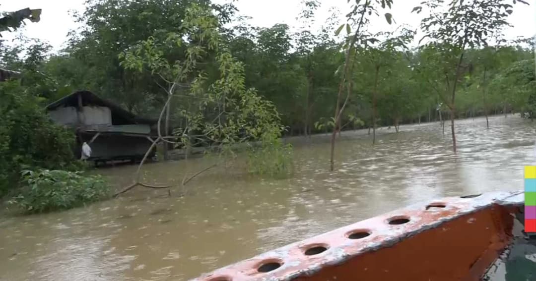 ปัตตานีวิกฤตหนัก น้ำท่วมสูงพายุเข้าสังเวยแล้ว 2 ศพ