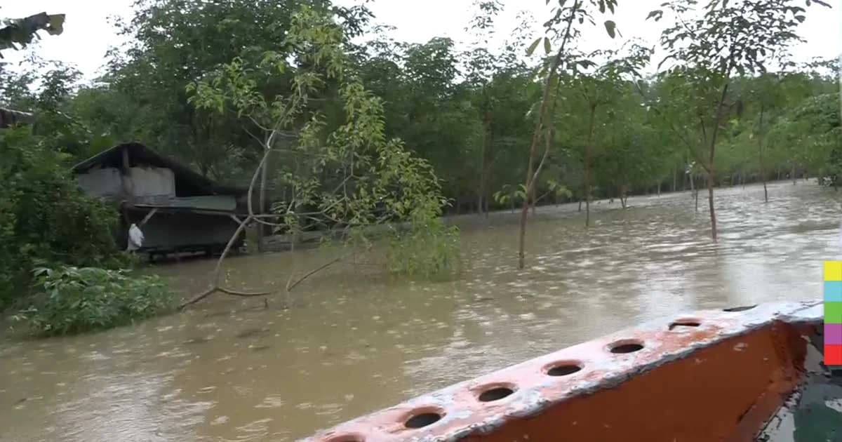 ปัตตานีวิกฤตหนัก น้ำท่วมสูงพายุเข้าสังเวยแล้ว 2 ศพ