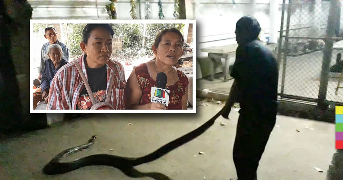 คืบหน้า งูหลามยักษ์รัดคอหนุ่มใหญ่ดับ ! พี่สาวเชื่อ งูเจ้าที่ กลับมาเอาชีวิตน้องชาย