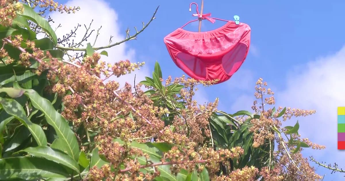 แก้เคล็ด ! ชาวพิจิตรเชื่อแขวนกางเกงใน ห้ามฝนตก