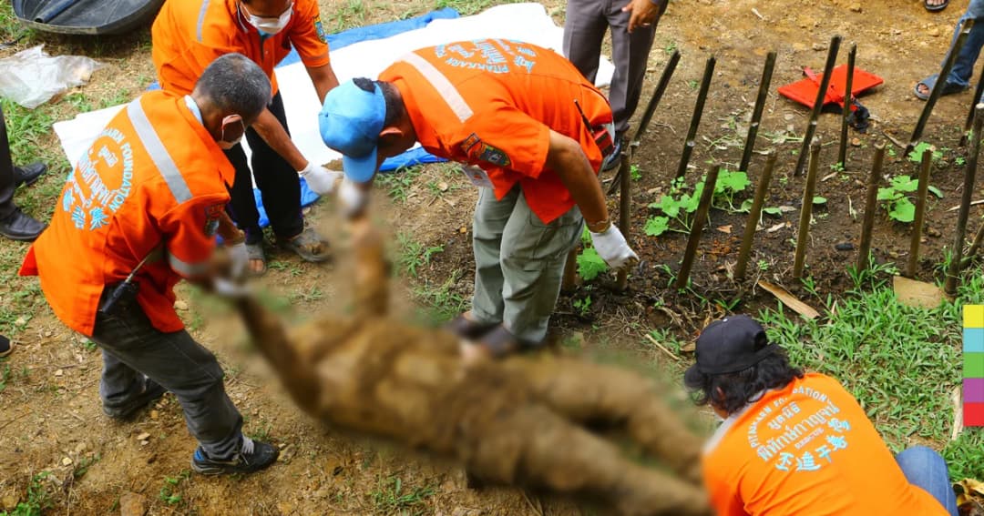 ฆ่าฝังดินโหด! ลูกตามหาพ่อหายตัว 2 วัน ก่อนพบเป็นศพ คาดฝีมือลูกจ้างพม่า