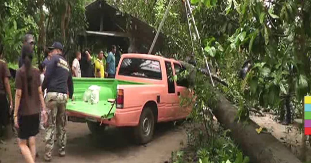 หนีตายวุ่น ! ต้นไม้ใหญ่ล้มทับบ้านพัง จนท.เร่งช่วยเหลือ