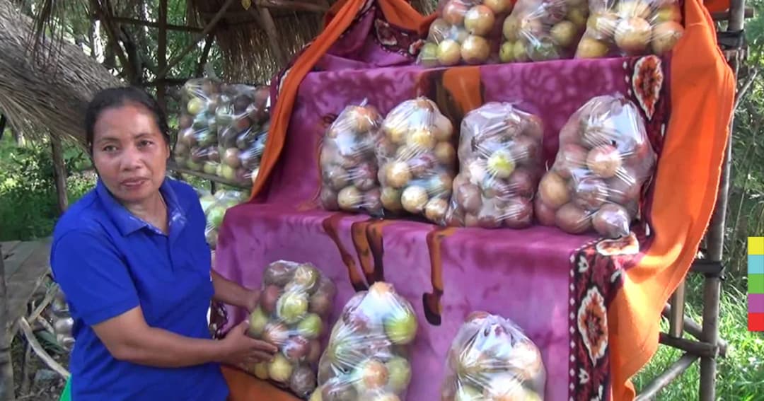 รายได้เสริม ! เกษตรกรบุรีรัมย์ ปลูกเสาวรสวางขายริมถนน