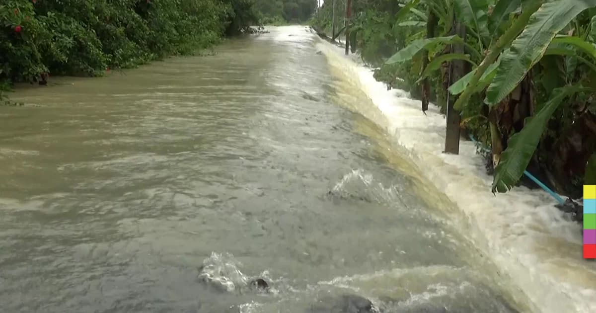 ชาวหนองตรุดวิกฤตหนัก ! พนังกั้นน้ำถูกกัดเซาะไปแล้วกว่า 60 %