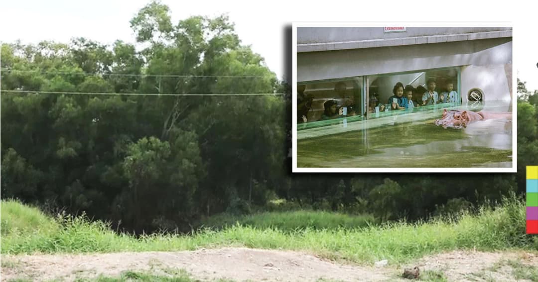 คืบหน้า ! ย้ายสวนสัตว์ไปคลองหก จ.ปทุมธานี