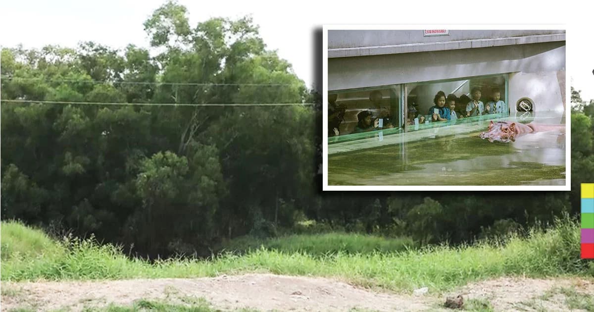 คืบหน้า ! ย้ายสวนสัตว์ไปคลองหก จ.ปทุมธานี