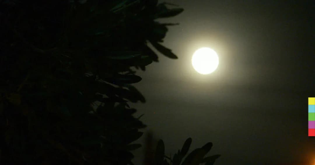 เต็มตา ! ราชบุรีแห่ชม ‘ซูเปอร์ฟูลมูน’ ดวงจันทร์ใกล้โลก