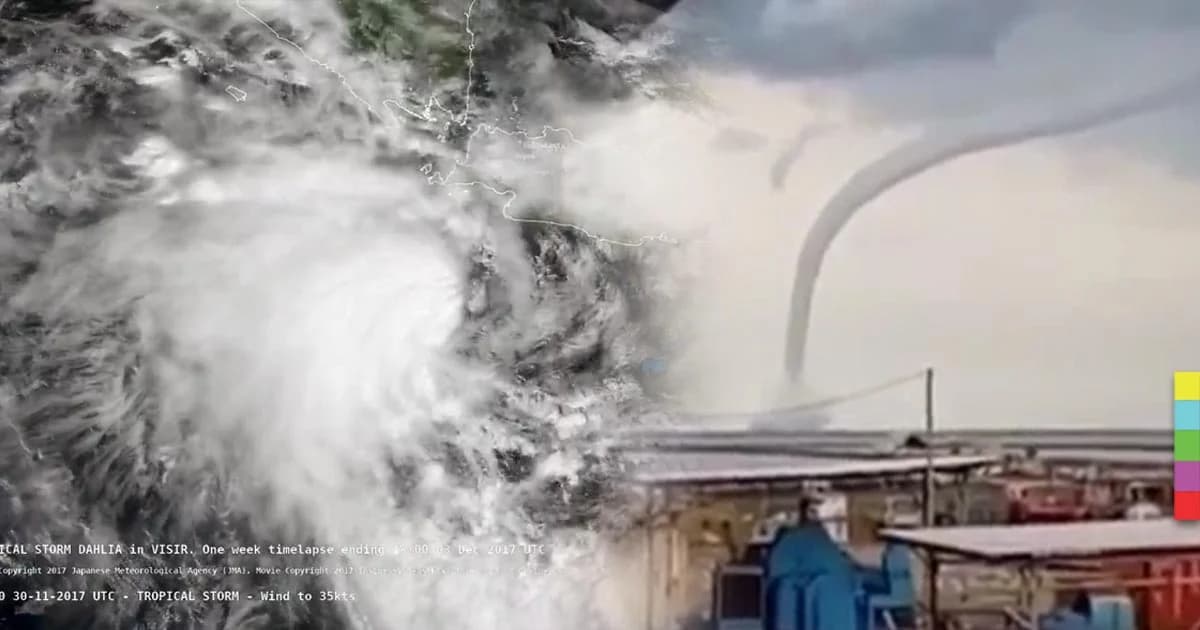 พายุ “ดาห์เลีย” ถล่มเกาะชวา เสียชีวิตอย่างน้อย 20 คน