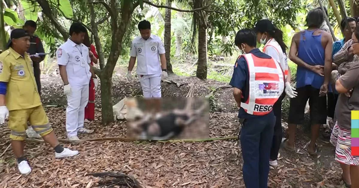 หนุ่มใหญ่ เก็บใบตองให้แม่ พลัดตกร่องสวน จมน้ำเสียชีวิต