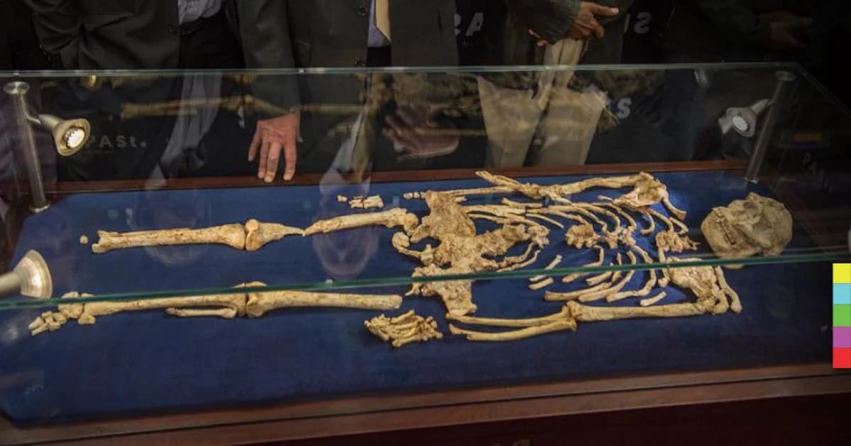 เปิดแสดงโครงกระดูกมนุษย์ยุคใหม่ที่สมบูรณ์ที่สุด อายุ 3.67 ล้านปี