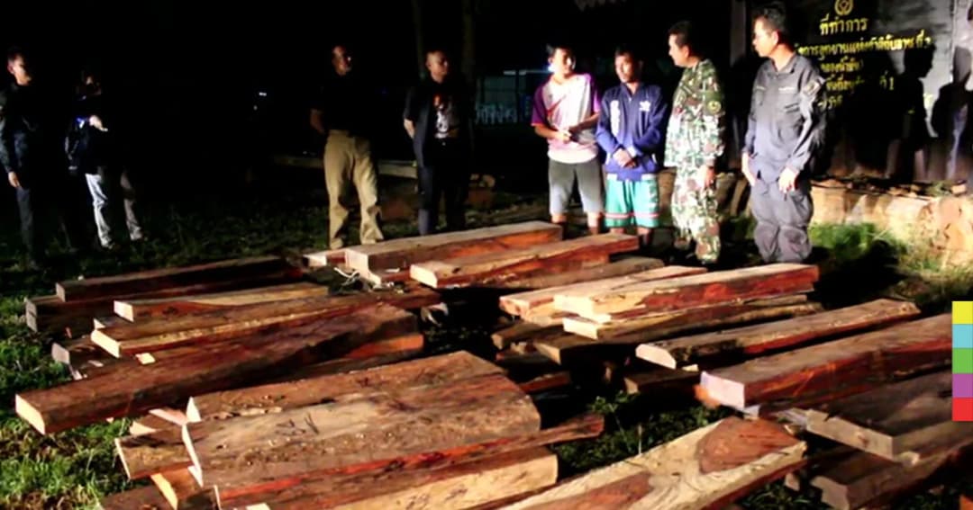 รวบทัพเขมรตัดไม้พะยูง ‘ป่าทับลาน’ เพิ่ม 1 ราย