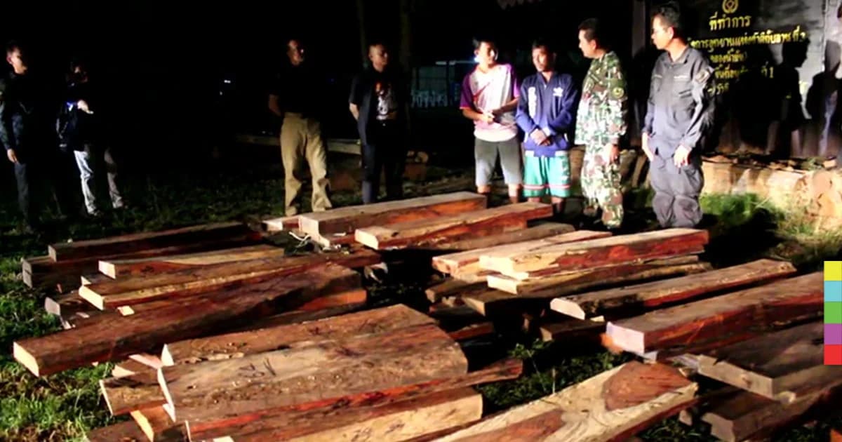 รวบทัพเขมรตัดไม้พะยูง ‘ป่าทับลาน’ เพิ่ม 1 ราย