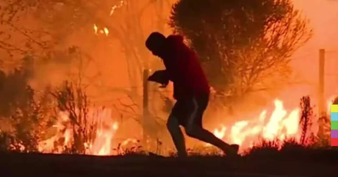 ชายมะกันเสี่ยงตายช่วยกระต่ายป่า จากไฟป่าครั้งใหญ่ในสหรัฐฯ