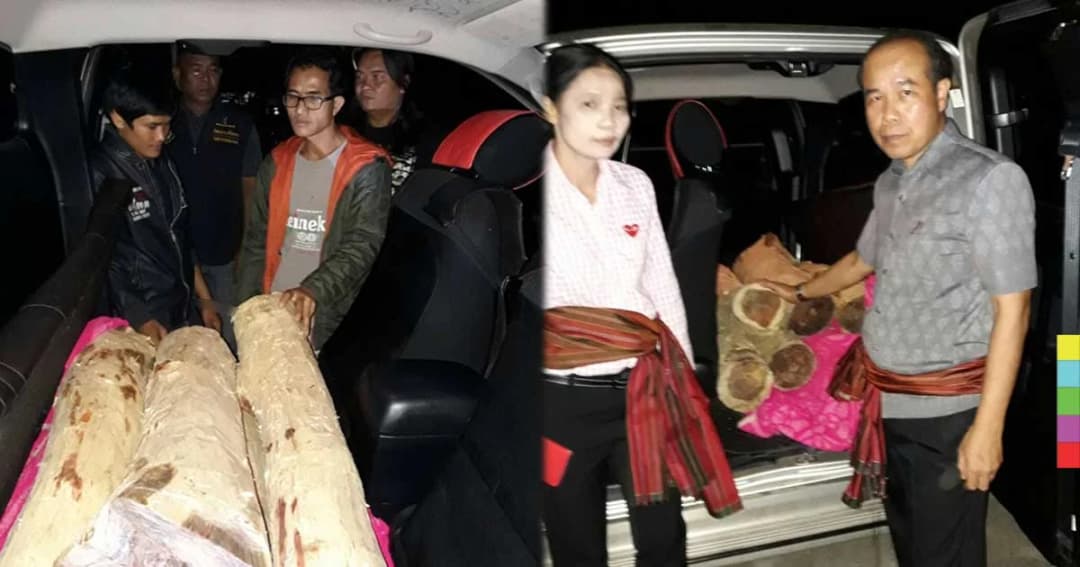 รวบสองหนุ่มบึงกาฬ ลอบขนไม้พยูง 7 ท่อน มูลค่ากว่าล้านบาท