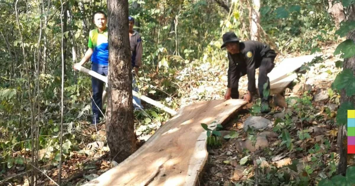 จนท.สนธิกำลังจับแก๊งมอดไม้ แถมยาบ้าจำนวนหนึ่ง