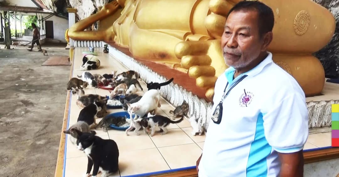 ตำรวจวัยเกษียณ ใจบุญ ! ควักเงินบำนาญ ระดมเงินจากเพื่อนๆ ให้อาหาร รักษาหมาเเมวถูกทอดทิ้ง